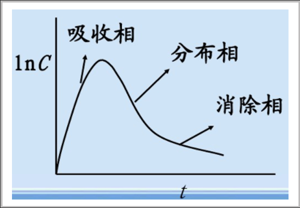 問(wèn)題解答|GastroPlus PK曲線(xiàn)預測偏差的調整與優(yōu)化的一般策略